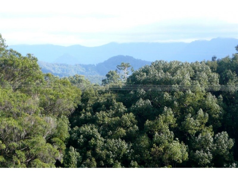 7319 Tweed Valley Way, Murwillumbah NSW 2484