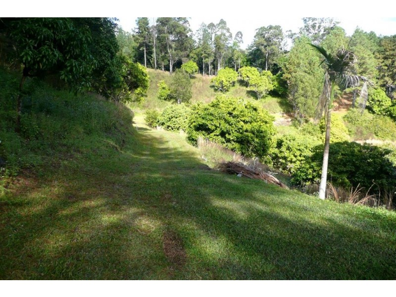 7319 Tweed Valley Way, Murwillumbah NSW 2484