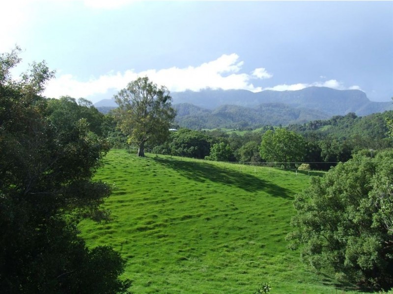 176 Chilcotts Road, Murwillumbah NSW 2484
