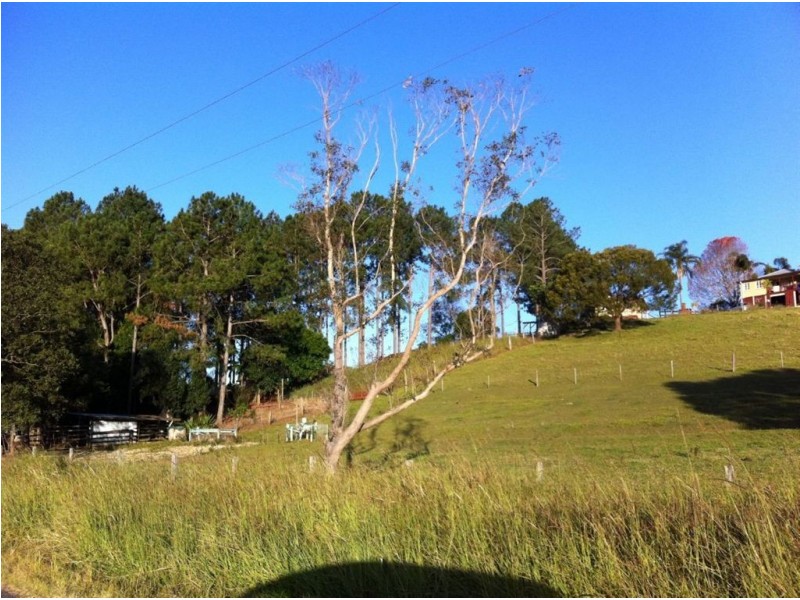 Lot 8 Alroy Lane, Murwillumbah NSW 2484