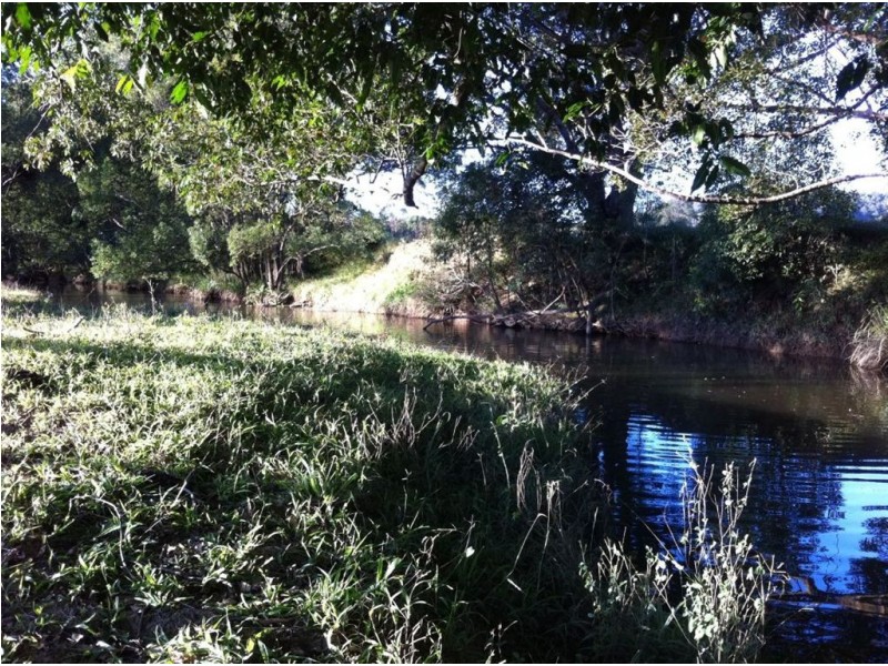 Lot 8 Alroy Lane, Murwillumbah NSW 2484