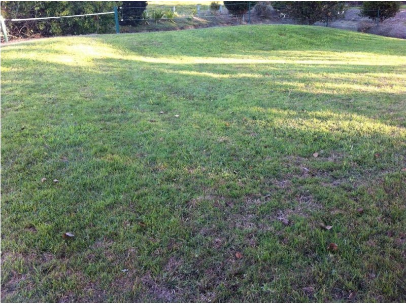 Lot 8 Alroy Lane, Murwillumbah NSW 2484