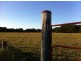 Lot 8 Alroy Lane, Murwillumbah NSW 2484