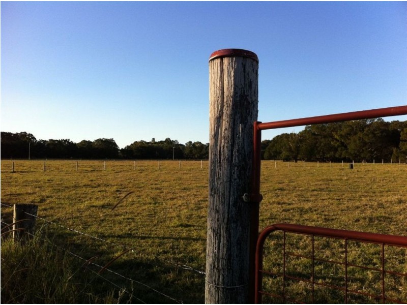 Lot 8 Alroy Lane, Murwillumbah NSW 2484