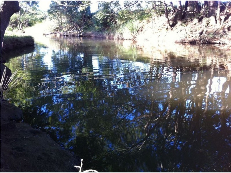 Lot 8 Alroy Lane, Murwillumbah NSW 2484