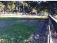 Lot 8 Alroy Lane, Murwillumbah NSW 2484