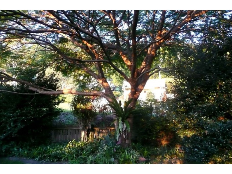 23 Rous Street, Murwillumbah NSW 2484