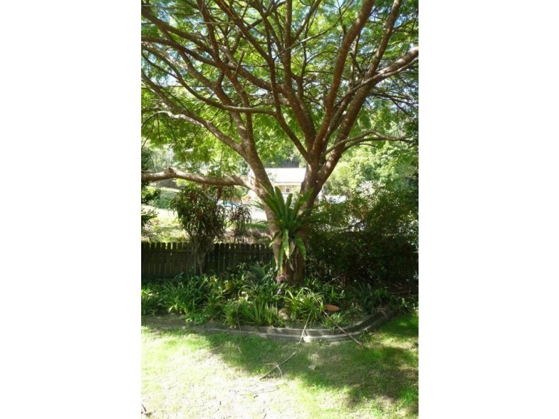 23 Rous Street, Murwillumbah NSW 2484