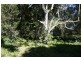 20 Yarrabee Terrace, Murwillumbah NSW 2484