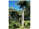 7 Old Pacific Highway, Burringbar NSW 2483
