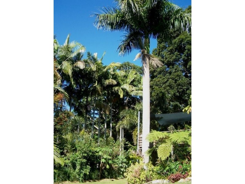 7 Old Pacific Highway, Burringbar NSW 2483