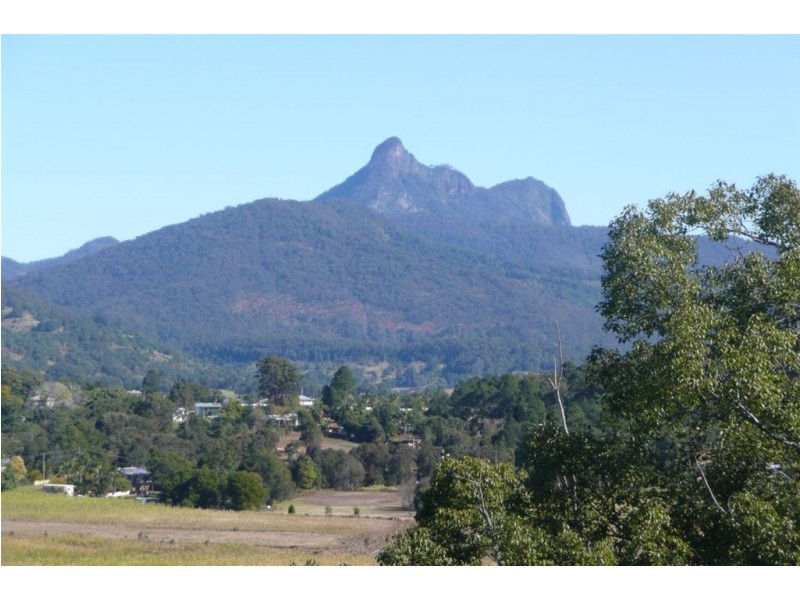 88 Byangum Road, Murwillumbah NSW 2484