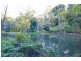656 Upper Crystal Creek Road, Murwillumbah NSW 2484