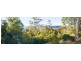 656 Upper Crystal Creek Road, Murwillumbah NSW 2484