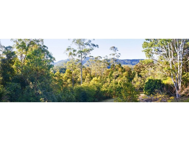 656 Upper Crystal Creek Road, Murwillumbah NSW 2484