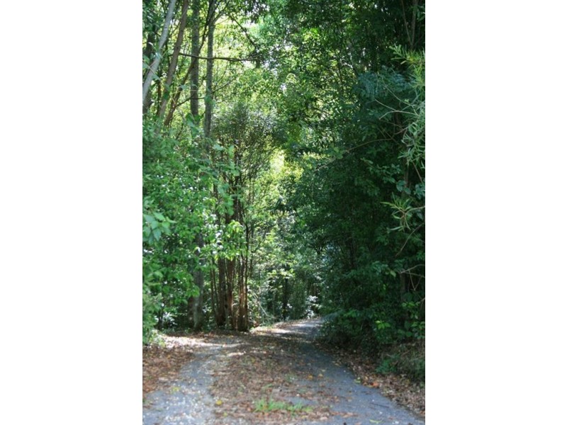 46 Barlee Drive, Murwillumbah NSW 2484