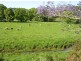 440 Wardrop Valley Road, Murwillumbah NSW 2484