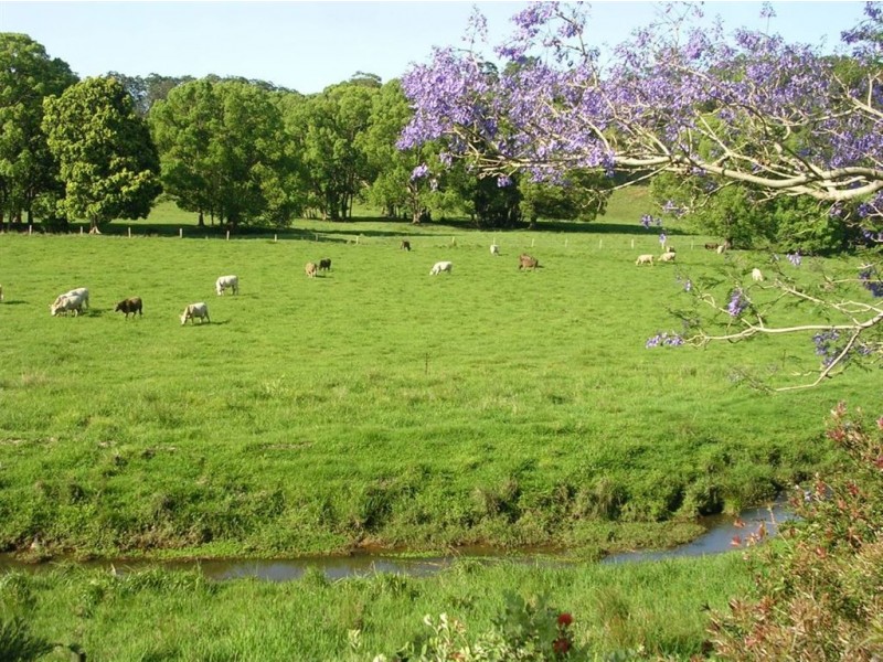440 Wardrop Valley Road, Murwillumbah NSW 2484