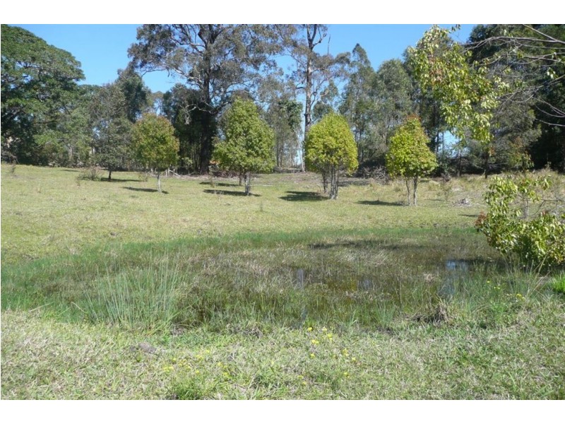 Lot 4 Numinbah Road, Murwillumbah NSW 2484