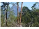 Lot 4 Numinbah Road, Murwillumbah NSW 2484