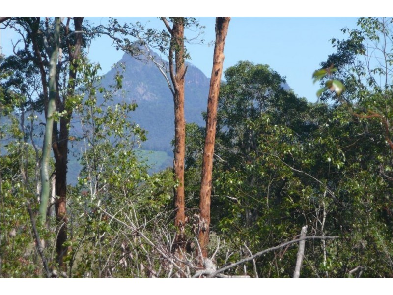 Lot 4 Numinbah Road, Murwillumbah NSW 2484