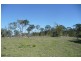 Lot 4 Numinbah Road, Murwillumbah NSW 2484