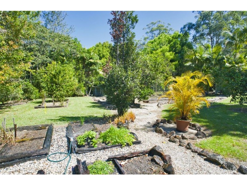 Lot 1 Solomons Road, Murwillumbah NSW 2484
