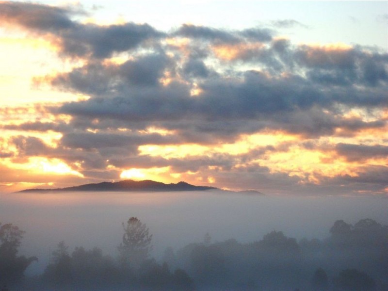 143 Everinghams Road, Tyalgum NSW 2484