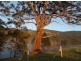 143 Everinghams Road, Tyalgum NSW 2484