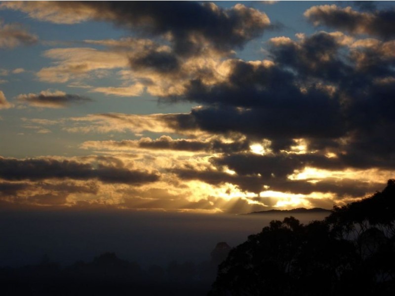 143 Everinghams Road, Tyalgum NSW 2484