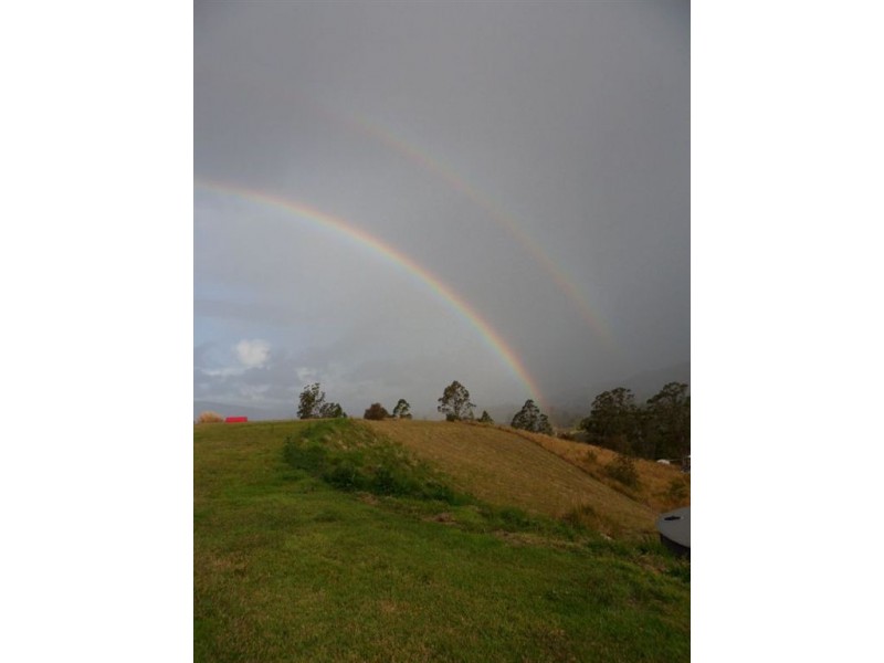 143 Everinghams Road, Tyalgum NSW 2484