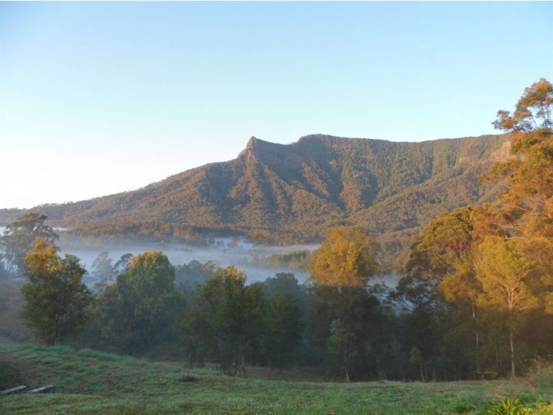 143 Everinghams Road, Tyalgum NSW 2484