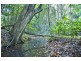 35 Baria Road, Burringbar NSW 2483