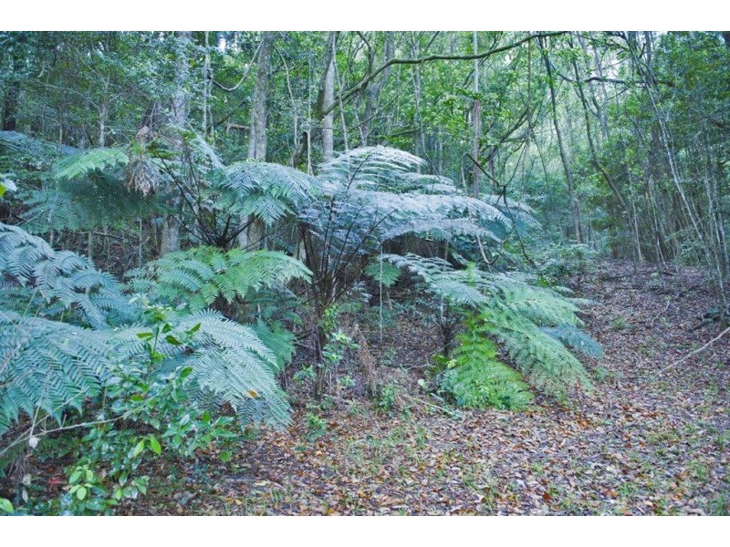 35 Baria Road, Burringbar NSW 2483