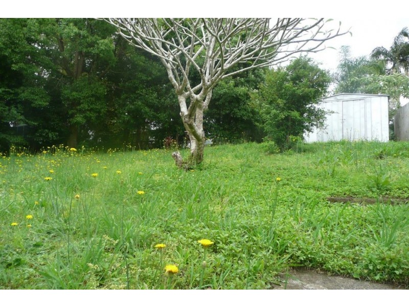 41 Kyogle Road, Murwillumbah NSW 2484