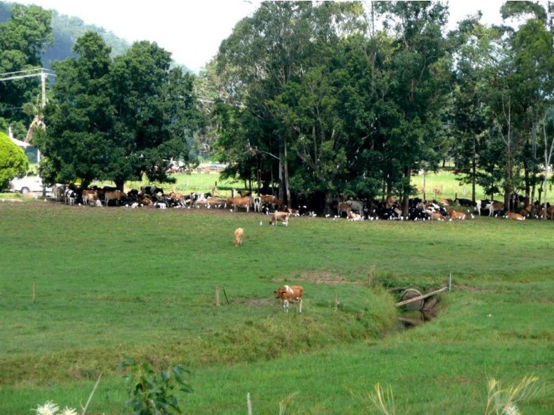19 Riverbend Way, Murwillumbah NSW 2484
