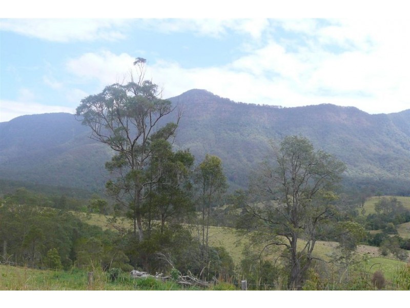 977 Brays Creek Road, Tyalgum NSW 2484