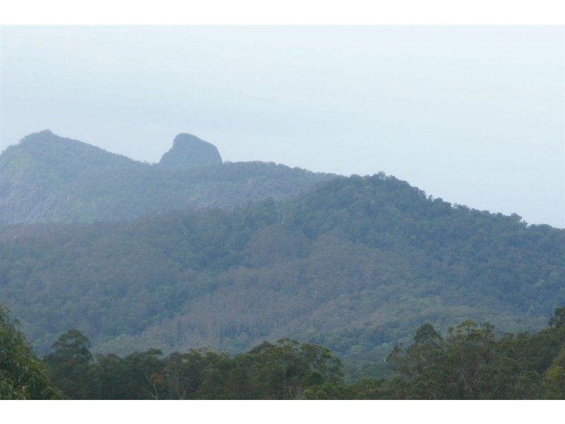 977 Brays Creek Road, Tyalgum NSW 2484