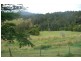 977 Brays Creek Road, Tyalgum NSW 2484