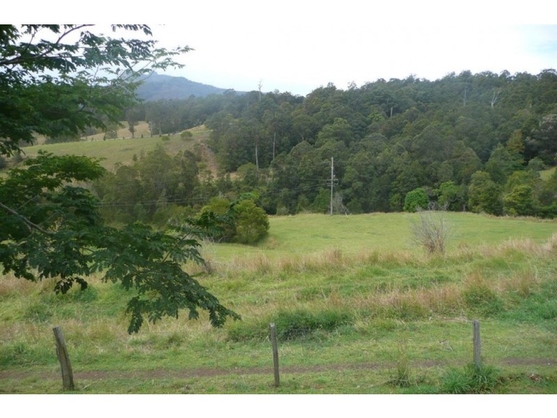 977 Brays Creek Road, Tyalgum NSW 2484