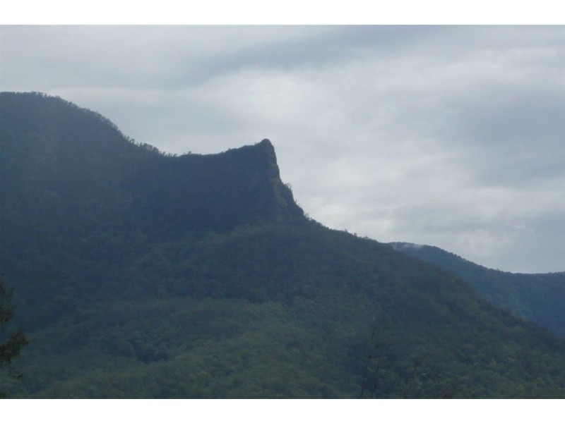 977 Brays Creek Road, Tyalgum NSW 2484