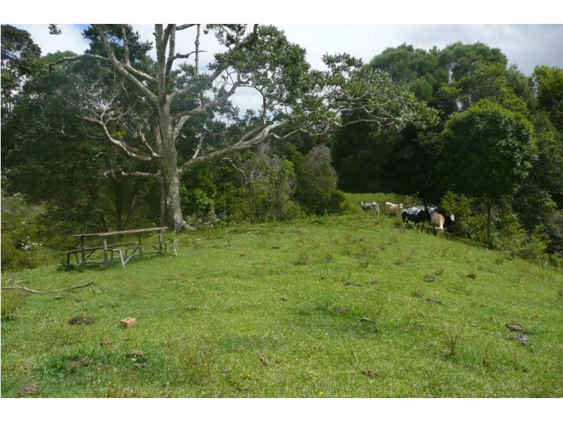 Lot 1 Fernvale Road, Murwillumbah NSW 2484