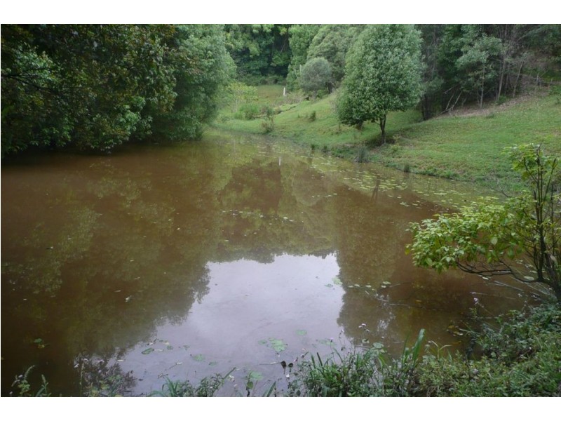Lot 1 Fernvale Road, Murwillumbah NSW 2484