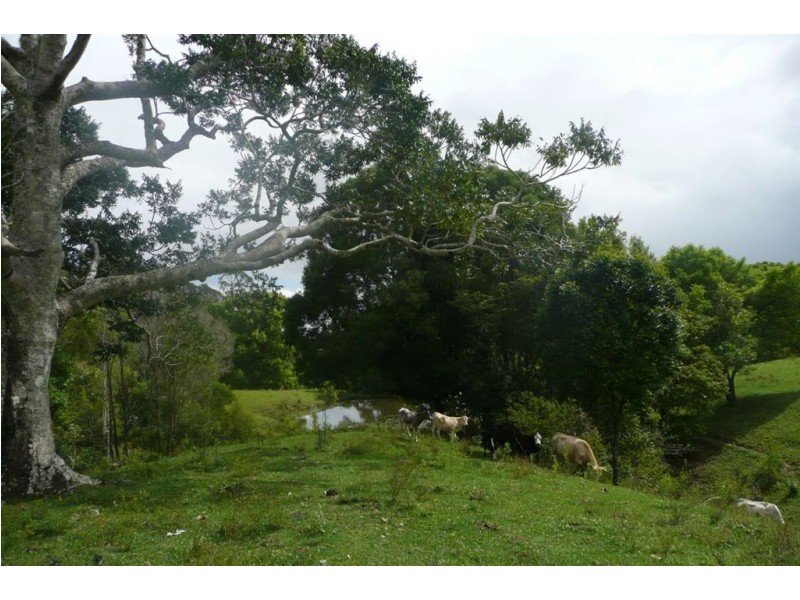 Lot 1 Fernvale Road, Murwillumbah NSW 2484