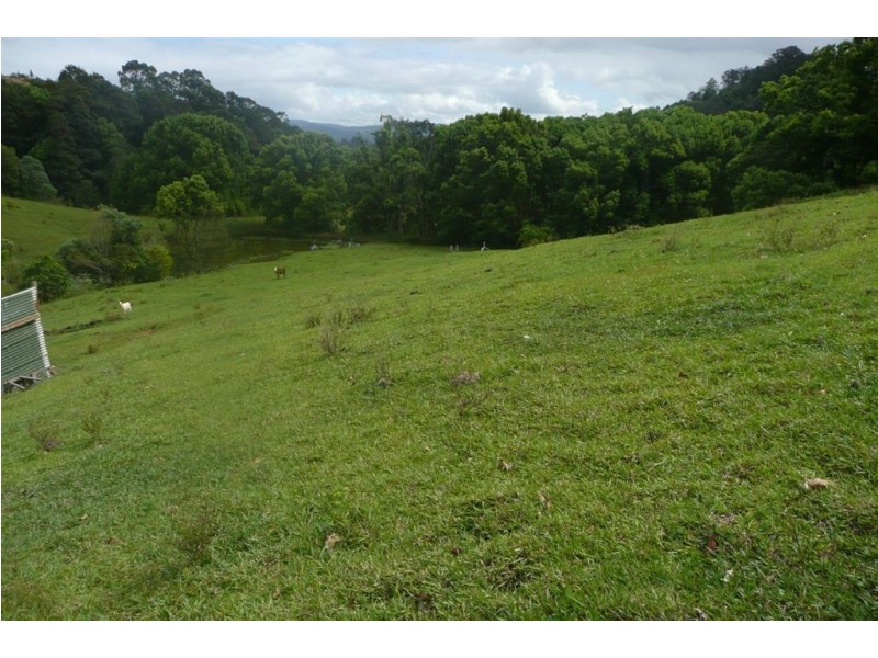 Lot 1 Fernvale Road, Murwillumbah NSW 2484