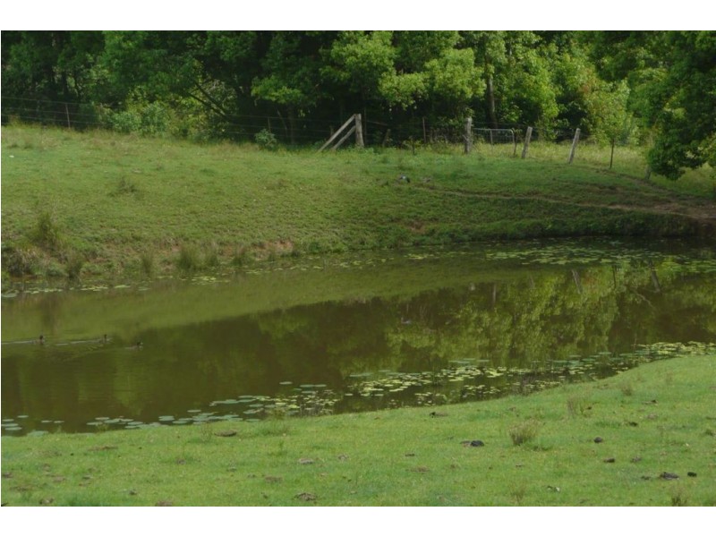 Lot 1 Fernvale Road, Murwillumbah NSW 2484