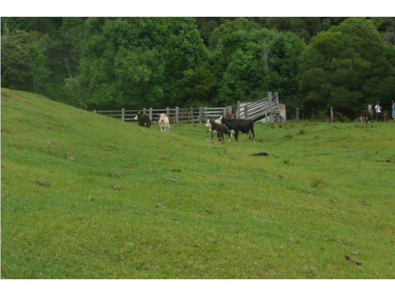 Lot 1 Fernvale Road, Murwillumbah NSW 2484