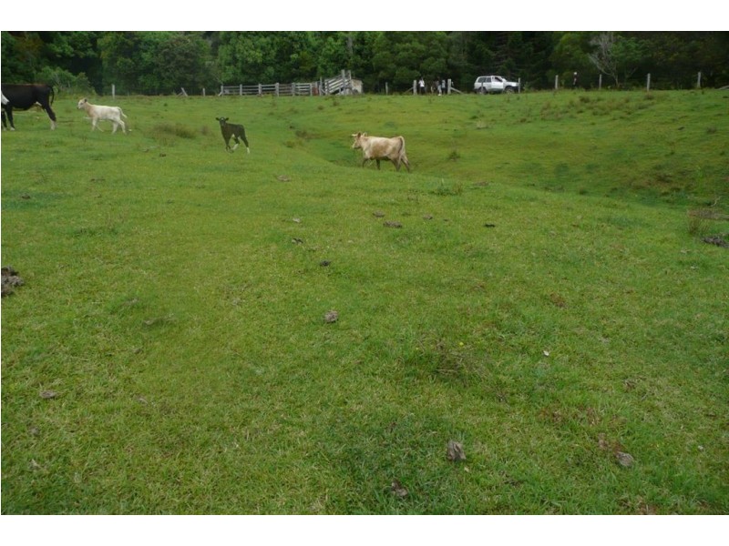 Lot 1 Fernvale Road, Murwillumbah NSW 2484