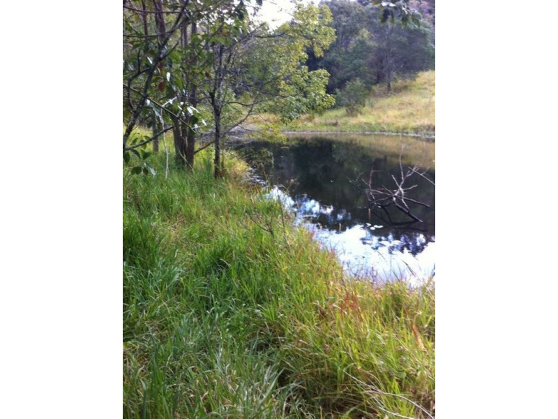 149 McConnells Road, Murwillumbah NSW 2484