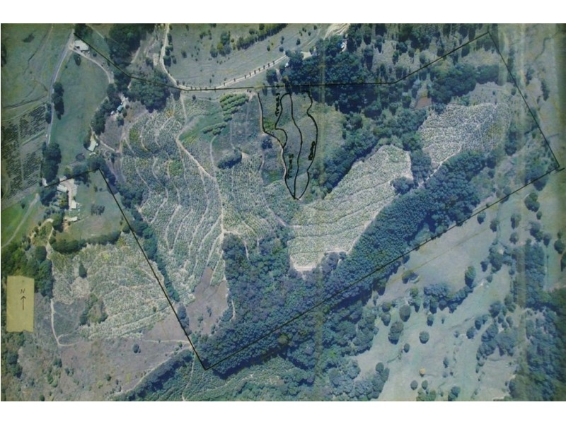 149 McConnells Road, Murwillumbah NSW 2484